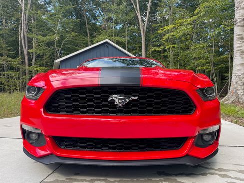 Used 2017 Ford Mustang Coupe image 8