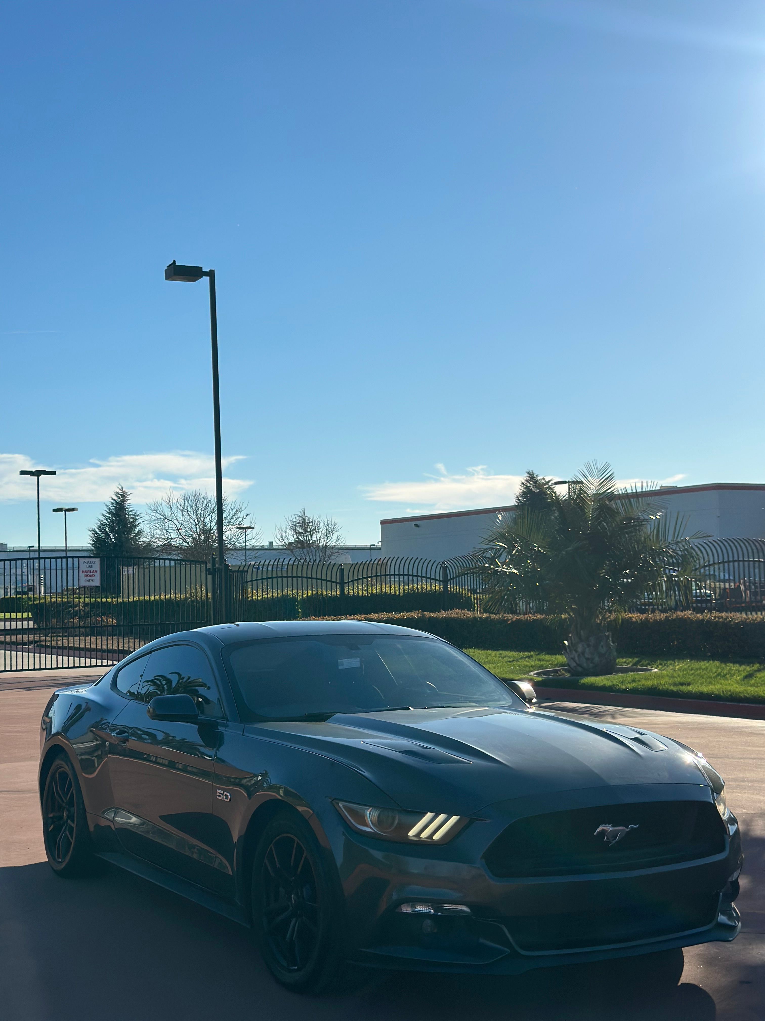 Used 2015 Ford Mustang GT RWD image 12