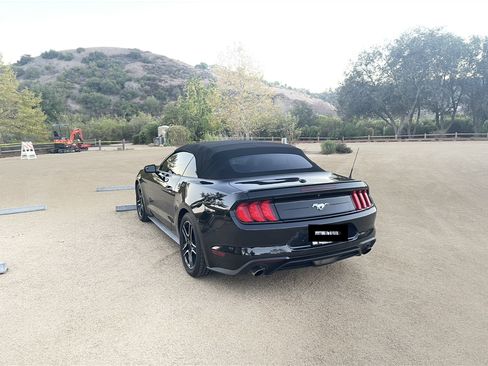 Used 2018 Ford Mustang Premium image 12