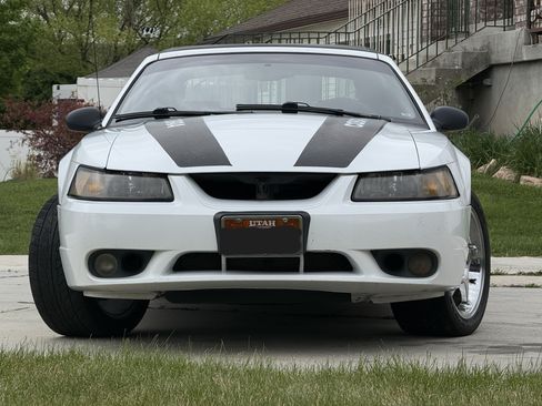 Used 1999 Ford Mustang Cobra RWD image 1
