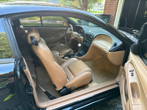 Used 1998 Ford Mustang Cobra image 8