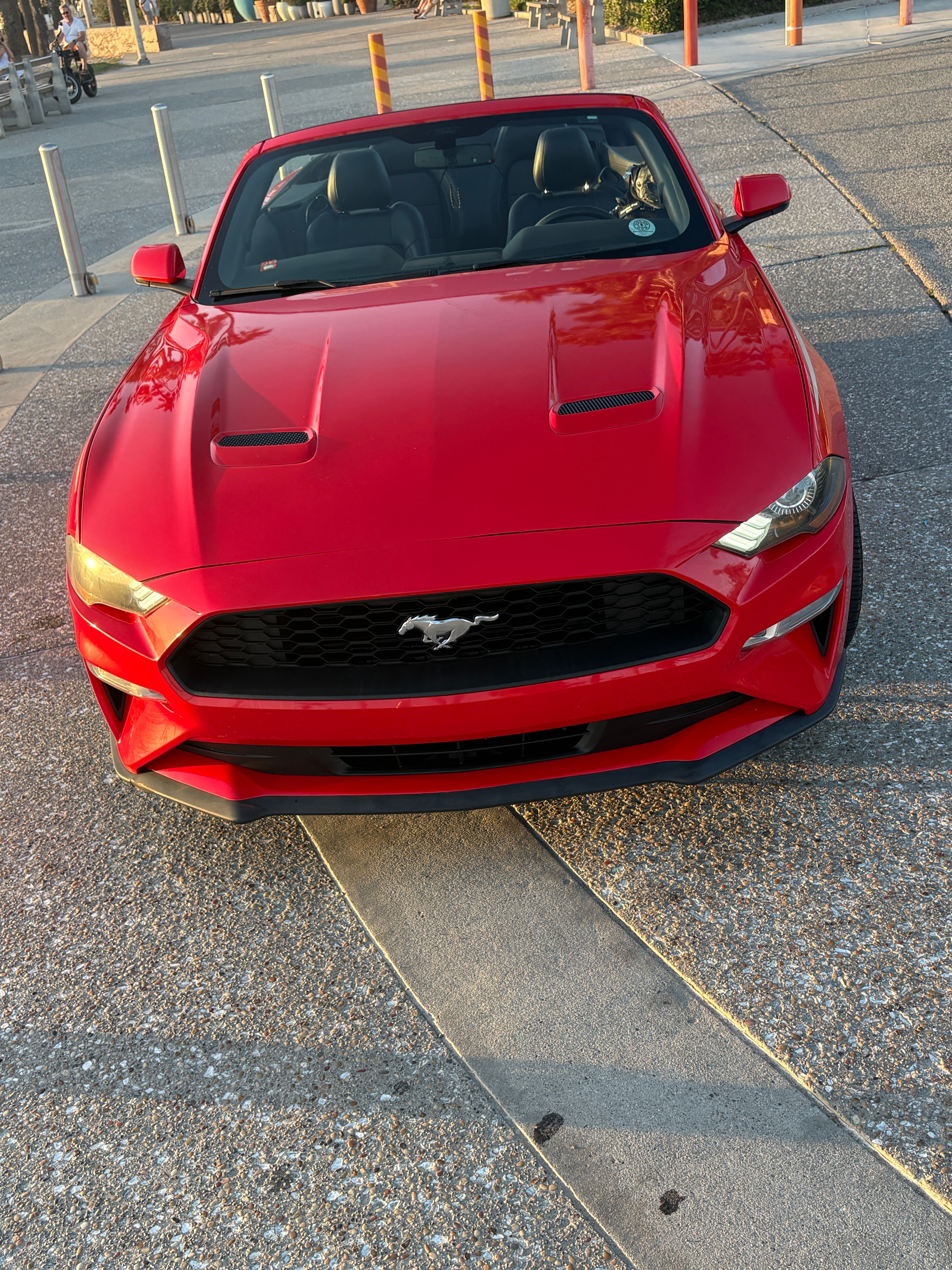 Used 2018 Ford Mustang Premium w/ Equipment Group 201A RWD image 17
