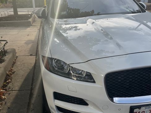 Used 2019 Jaguar F-PACE Prestige image 6