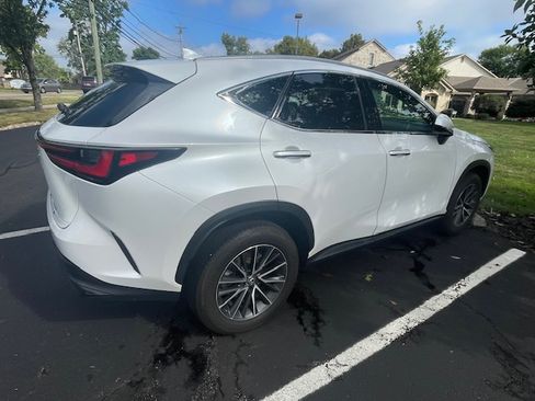 Used 2025 Lexus NX 250 AWD image 4