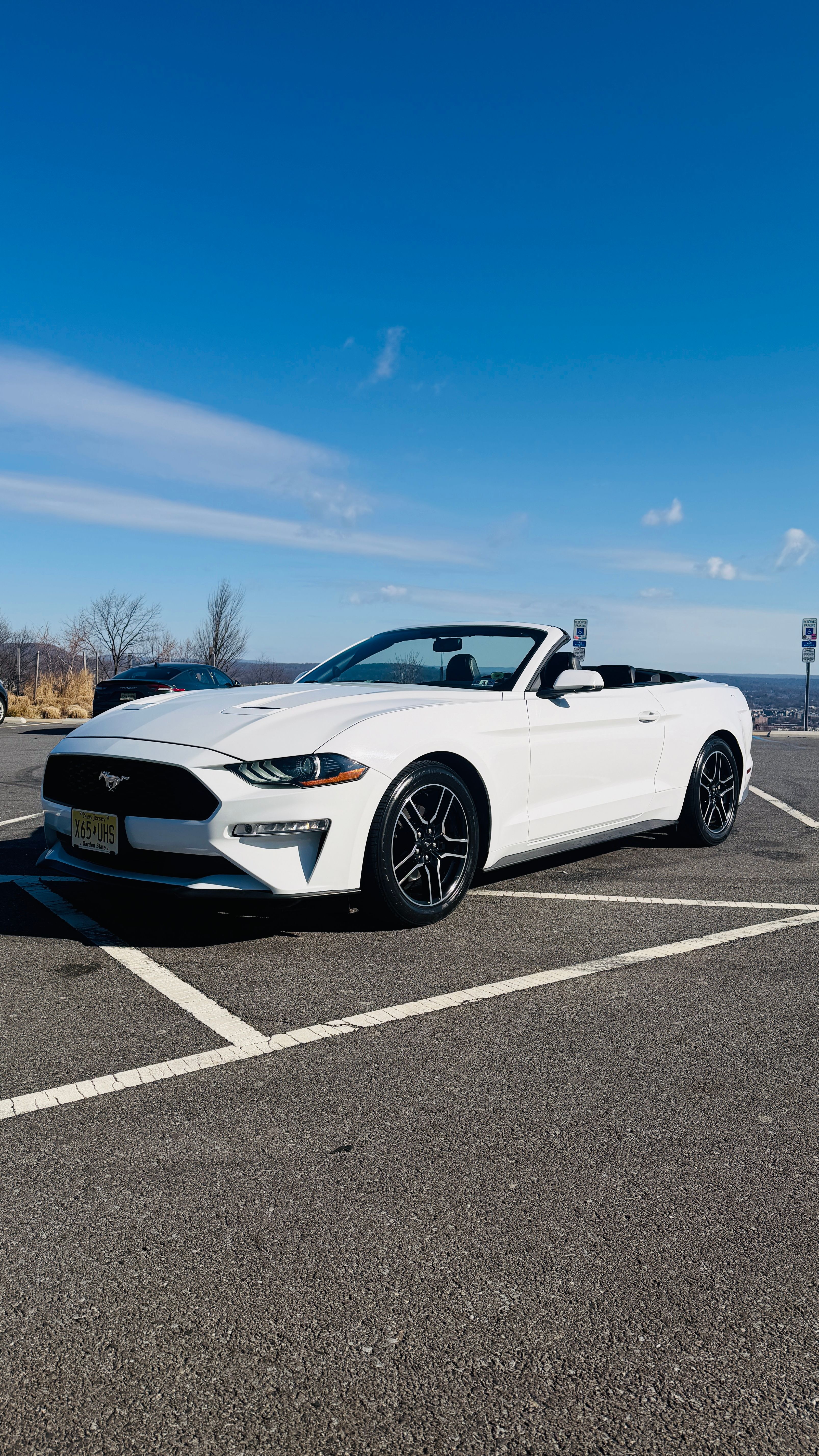 Used 2019 Ford Mustang Premium RWD image 1