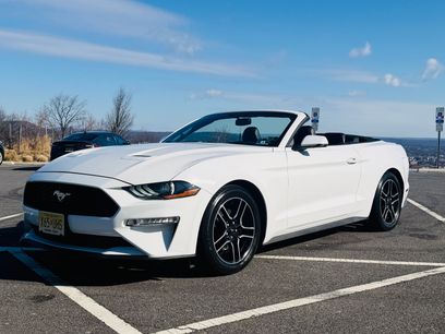 Used 2019 Ford Mustang Premium