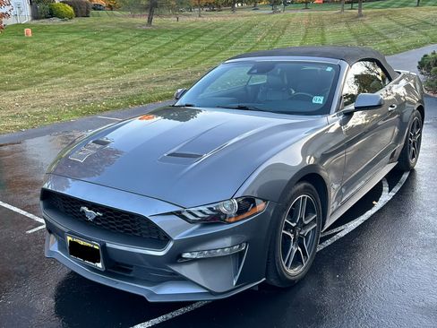 Used 2021 Ford Mustang Premium RWD image 1
