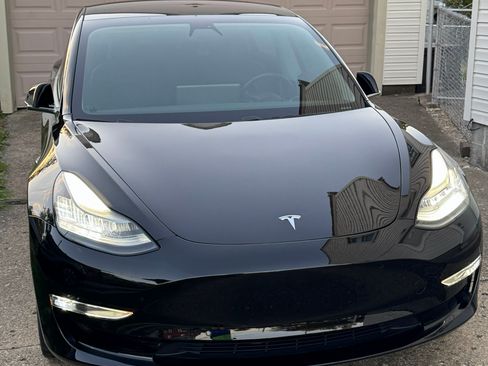 Used 2019 Tesla Model 3 Standard Range Plus image 5