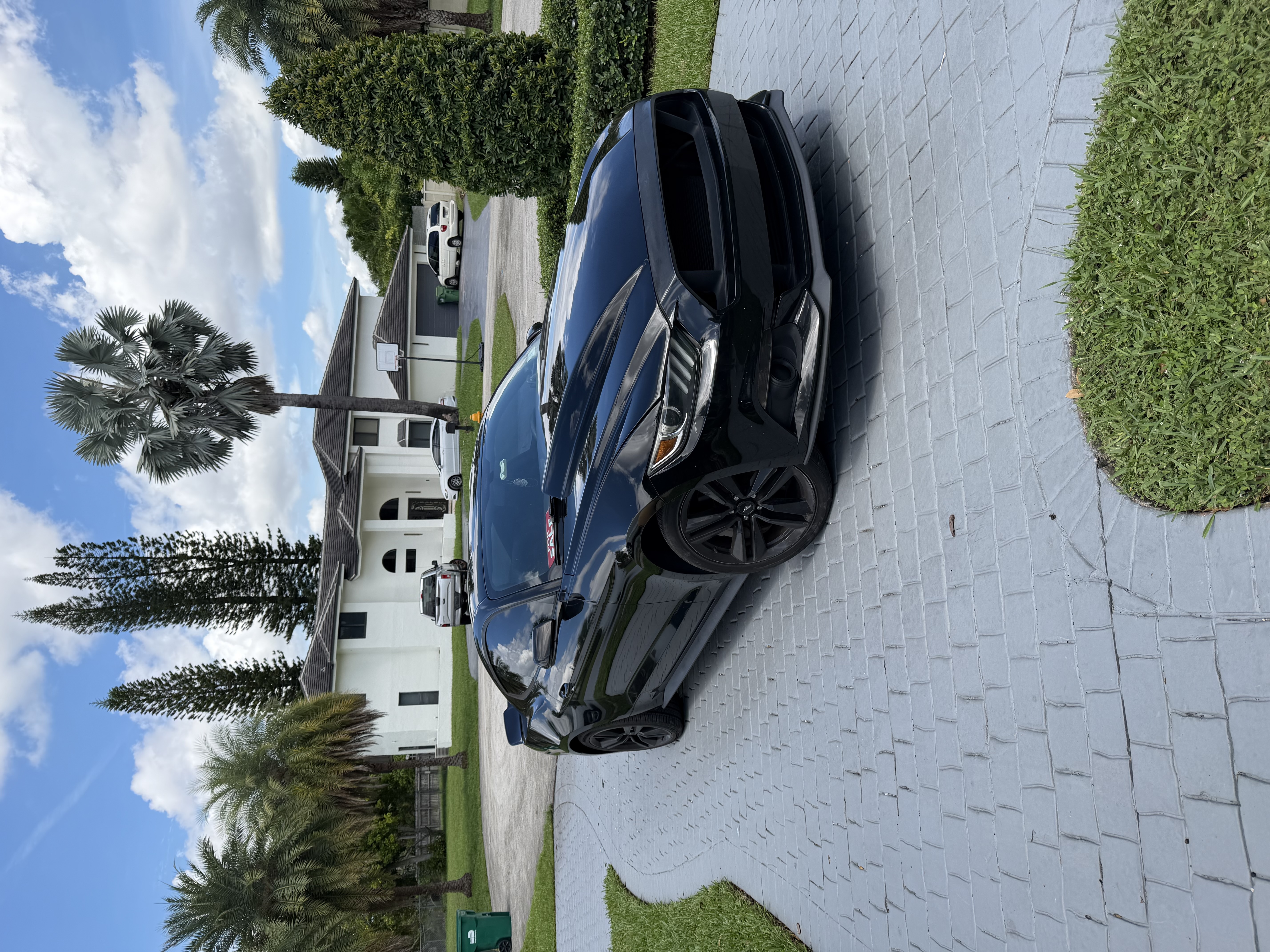 Used 2016 Ford Mustang Premium w/ Ecoboost Performance Package RWD image 1