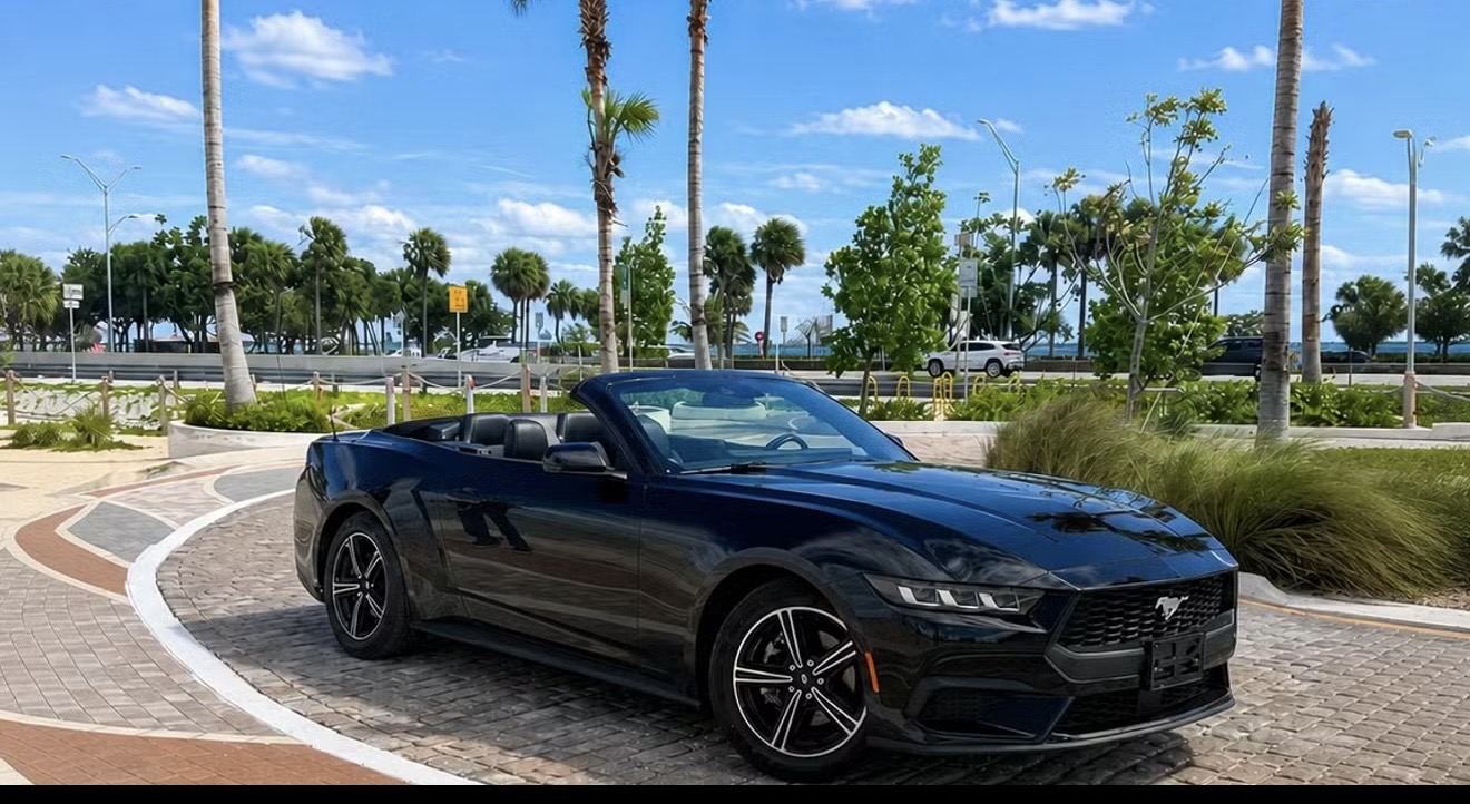 Used 2024 Ford Mustang Premium RWD image 1