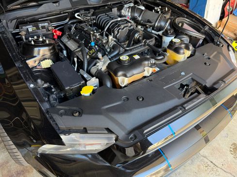 Used 2010 Ford Mustang Shelby GT500 image 6