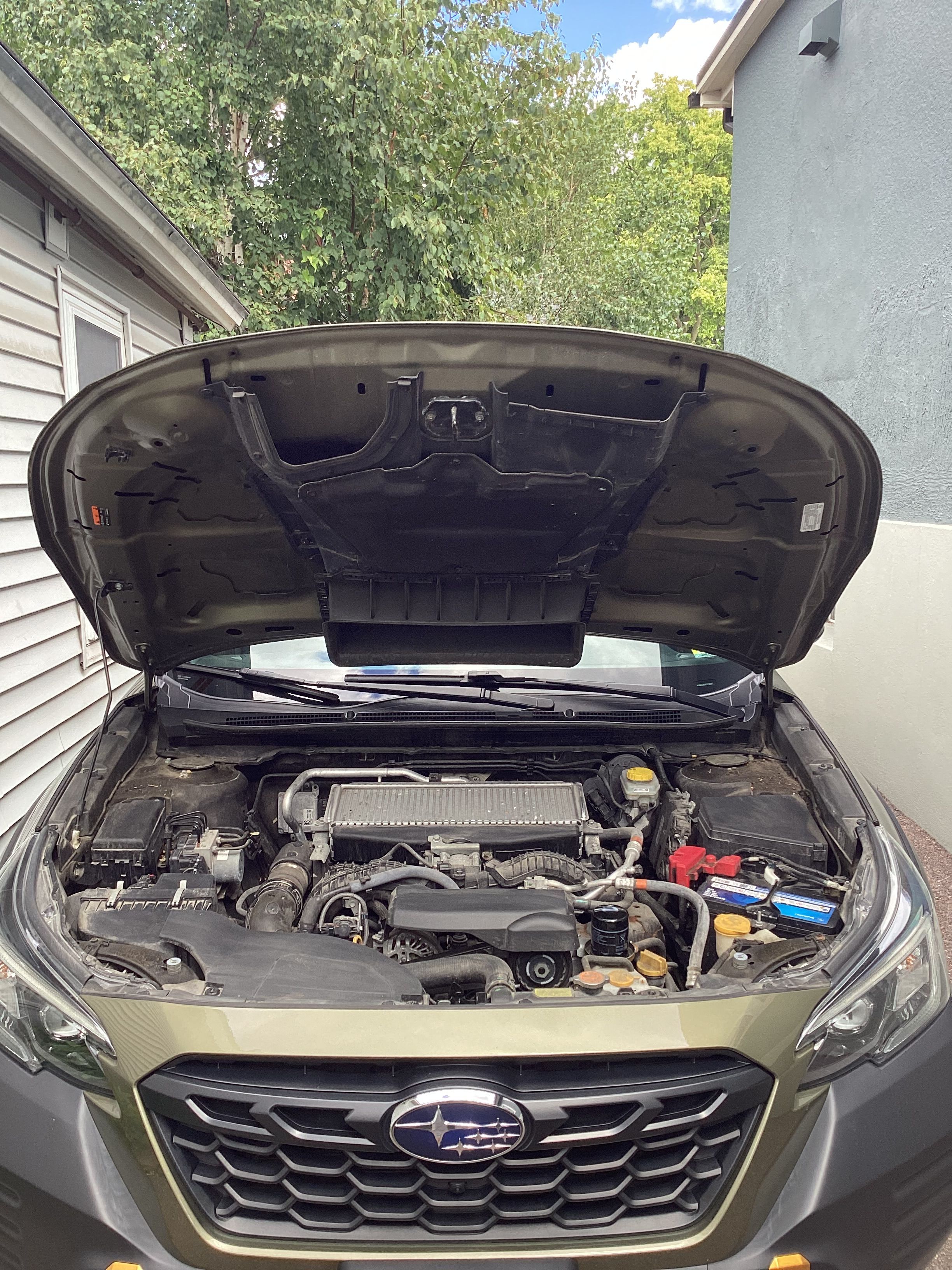 Used 2023 Subaru Outback Wilderness AWD/4WD image 19