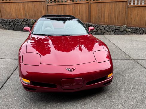Used 1999 Chevrolet Corvette Coupe w/ Roof Pkg image 4
