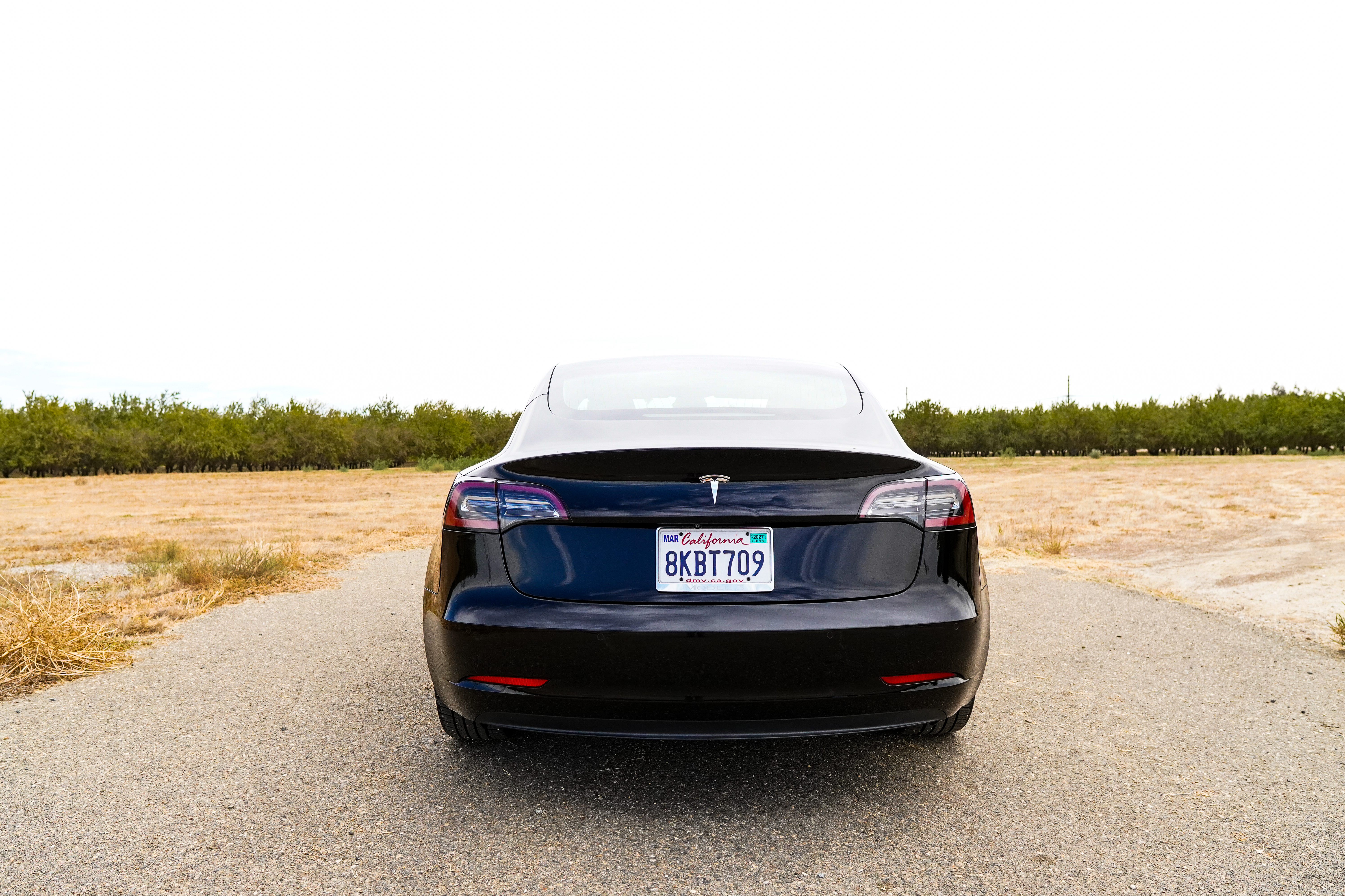 Used 2019 Tesla Model 3 Long Range RWD image 12