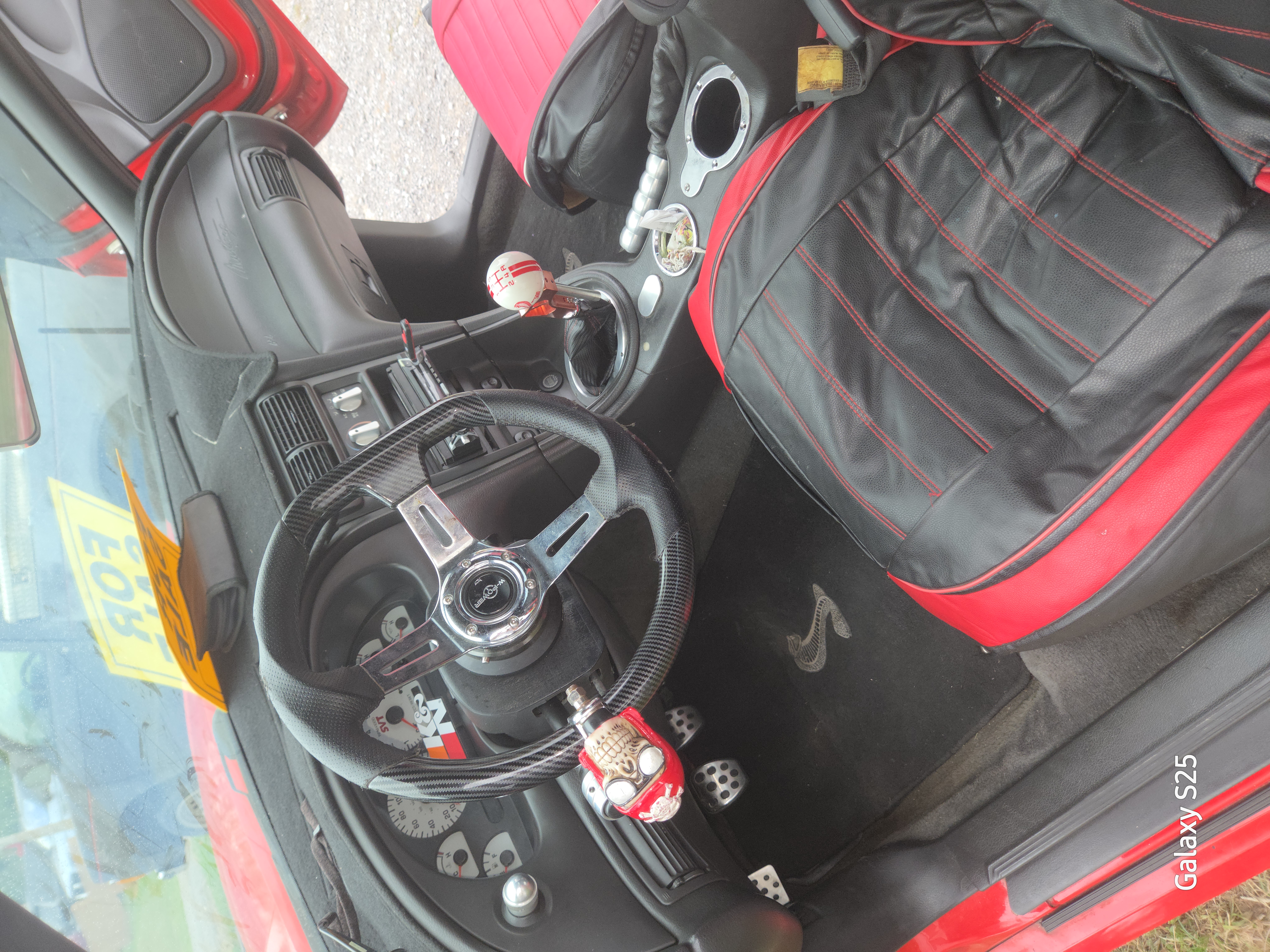 Used 2001 Ford Mustang Cobra RWD image 6