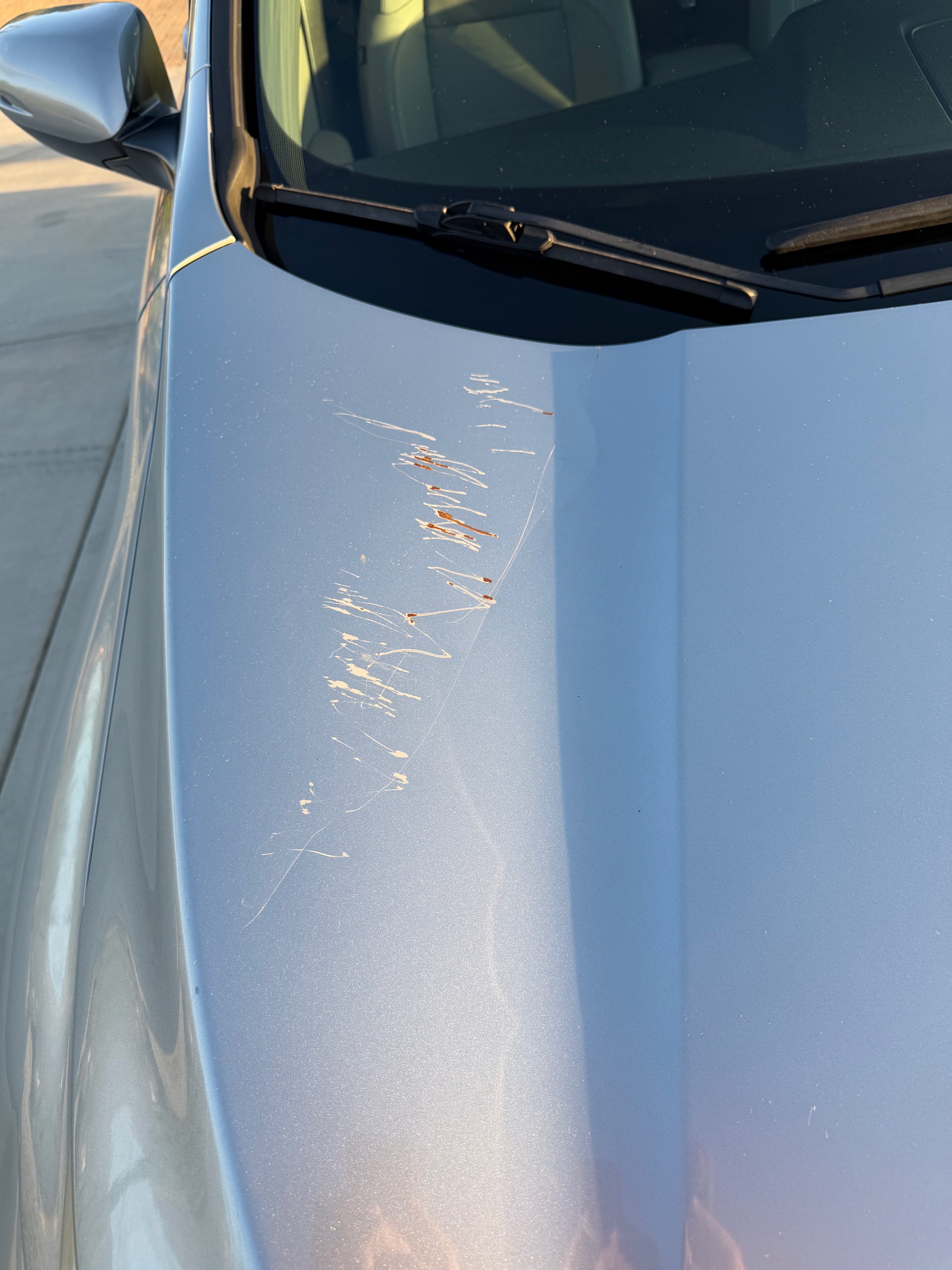 Used 2017 Honda CR-V Touring image 10
