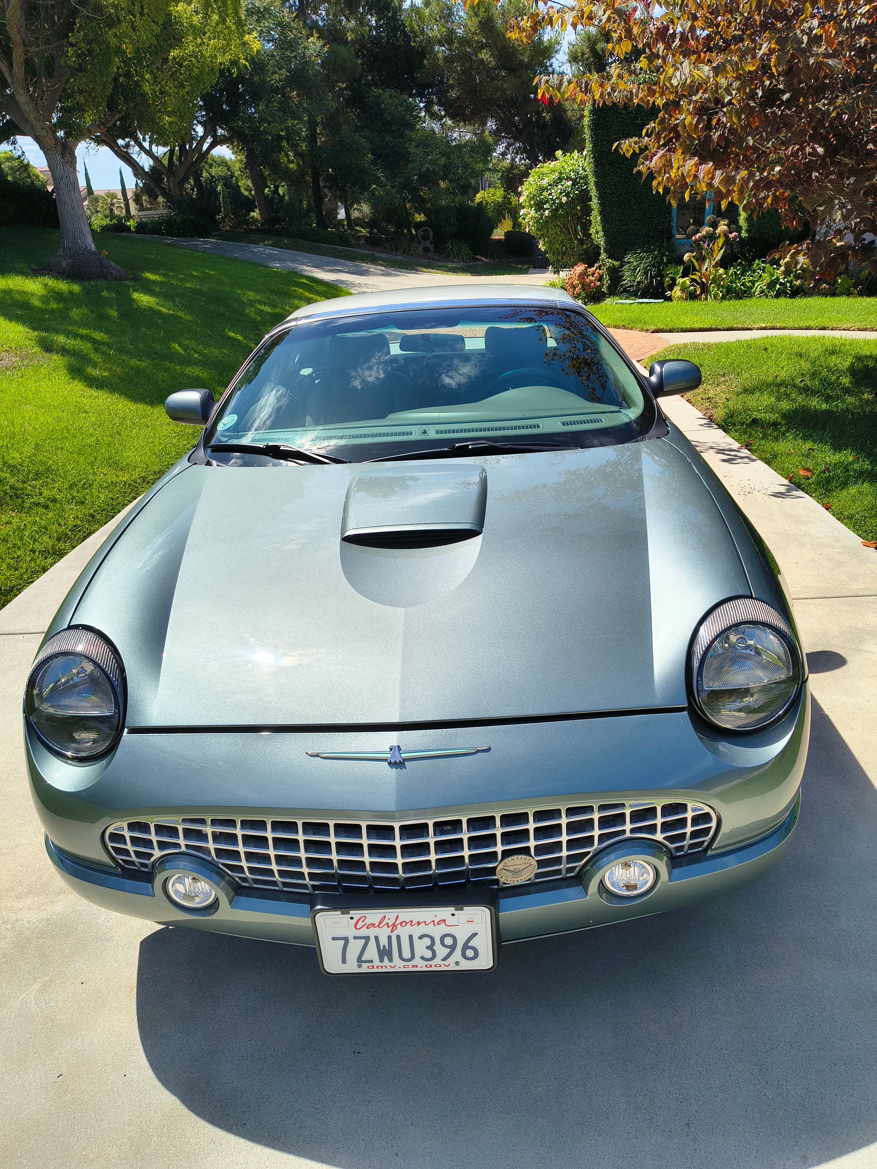 Used 2004 Ford Thunderbird Pacific Coast RWD image 8