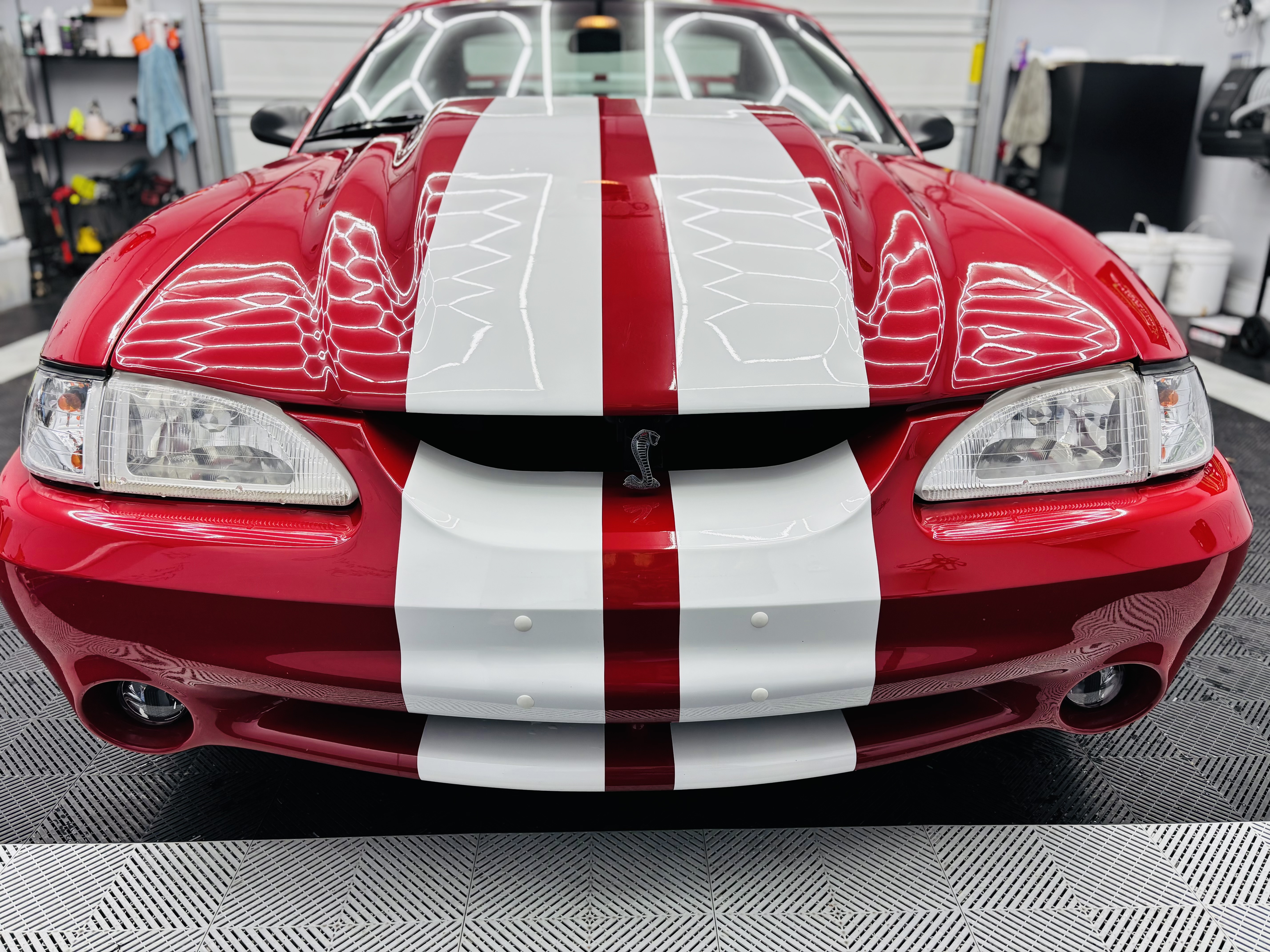 Used 1997 Ford Mustang Cobra RWD image 10