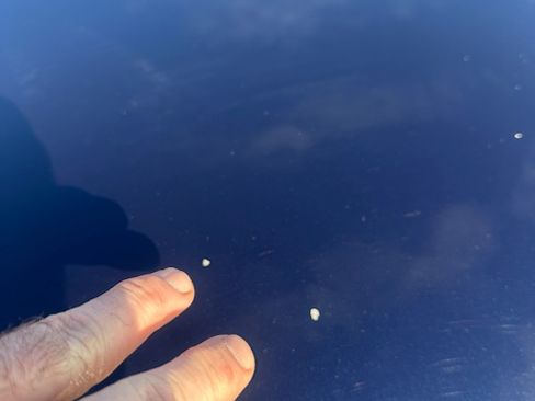 Used 2017 Jeep Grand Cherokee Overland image 22