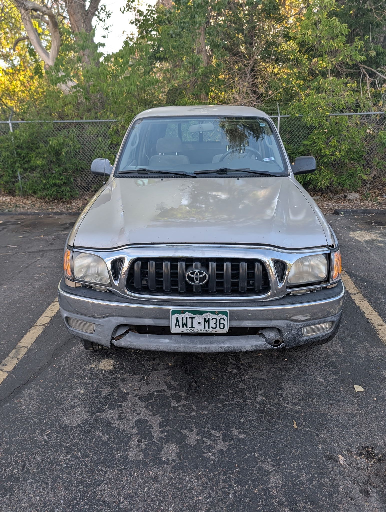 Used 2003 Toyota Tacoma 4x4 Xtracab V6 image 11