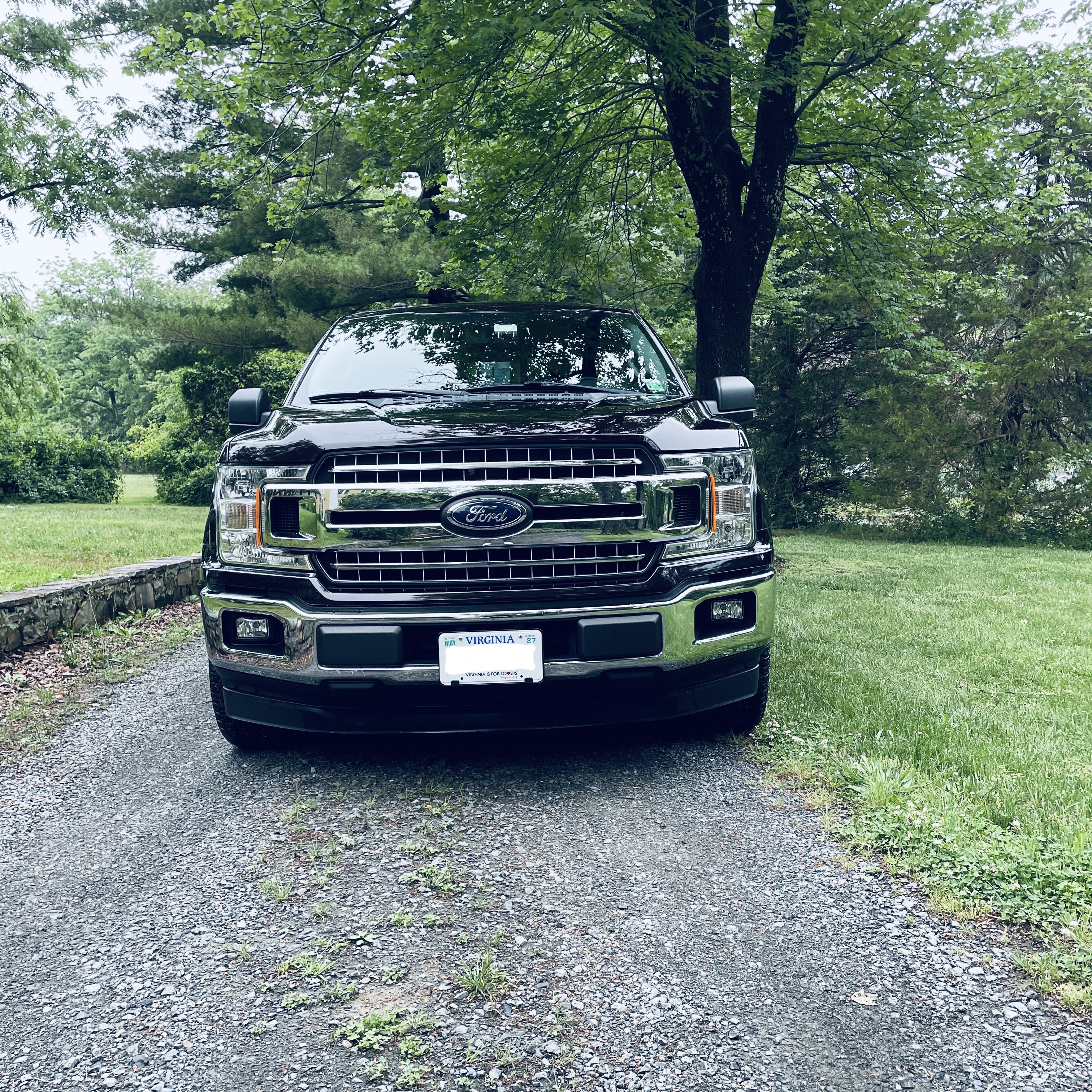 Used 2018 Ford F150 XLT w/ Equipment Group 302A Luxury RWD image 1