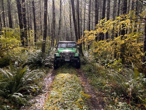 Used 2004 Jeep Wrangler 4WD image 13