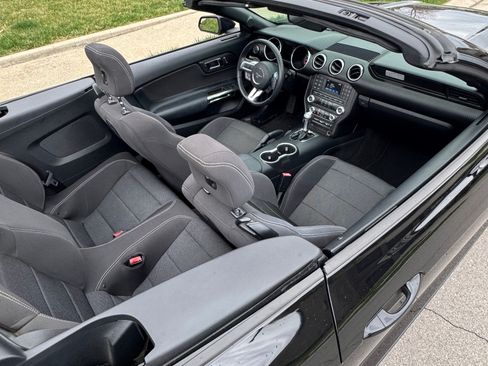 Used 2017 Ford Mustang Convertible w/ Equipment Group 051A image 8