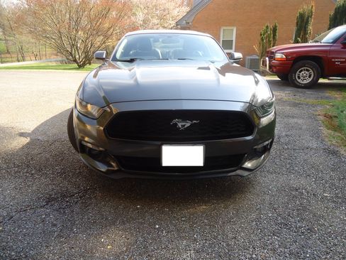 Used 2017 Ford Mustang Premium image 16