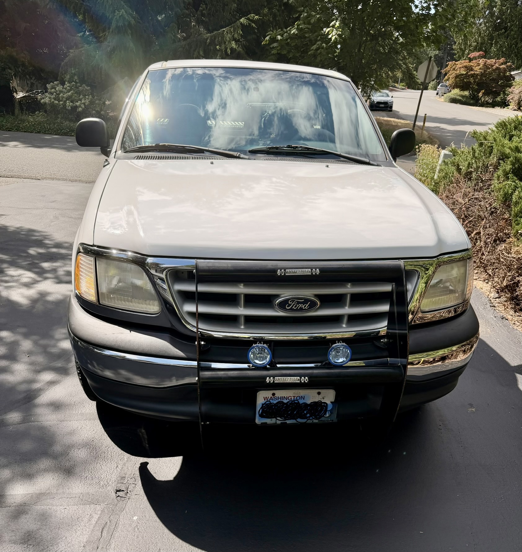 Used 1999 Ford F150 2WD Regular Cab image 14