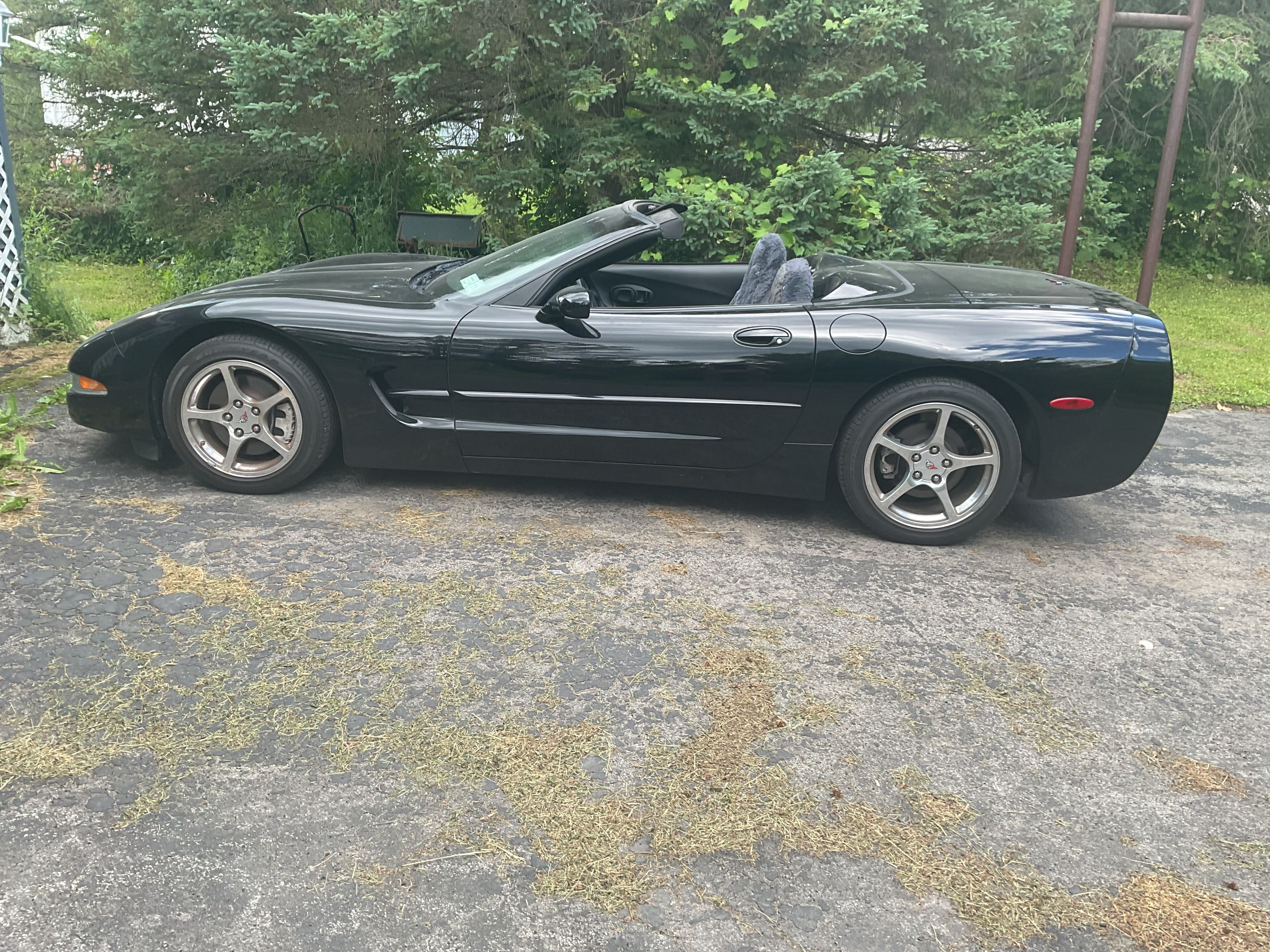 Used 2004 Chevrolet Corvette Convertible w/ Preferred Equipment Group RWD image 4