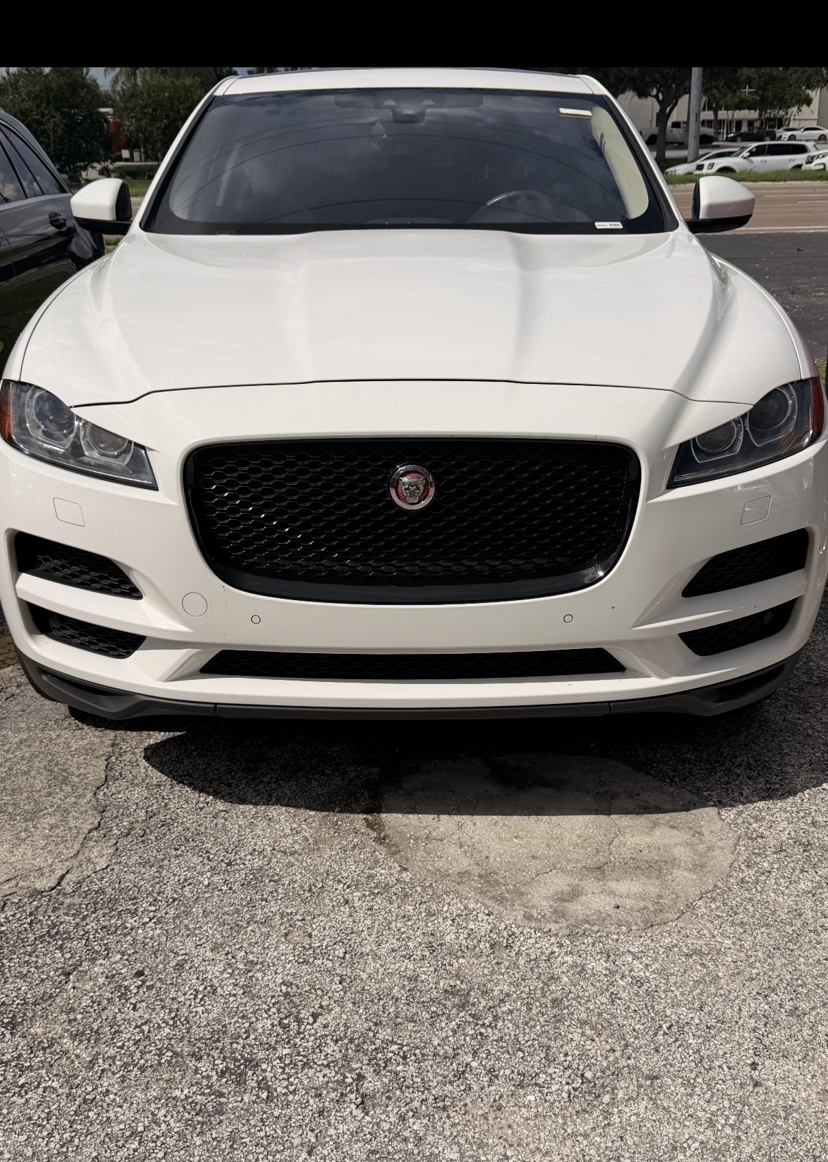 Used 2017 Jaguar F-PACE Premium AWD/4WD image 1