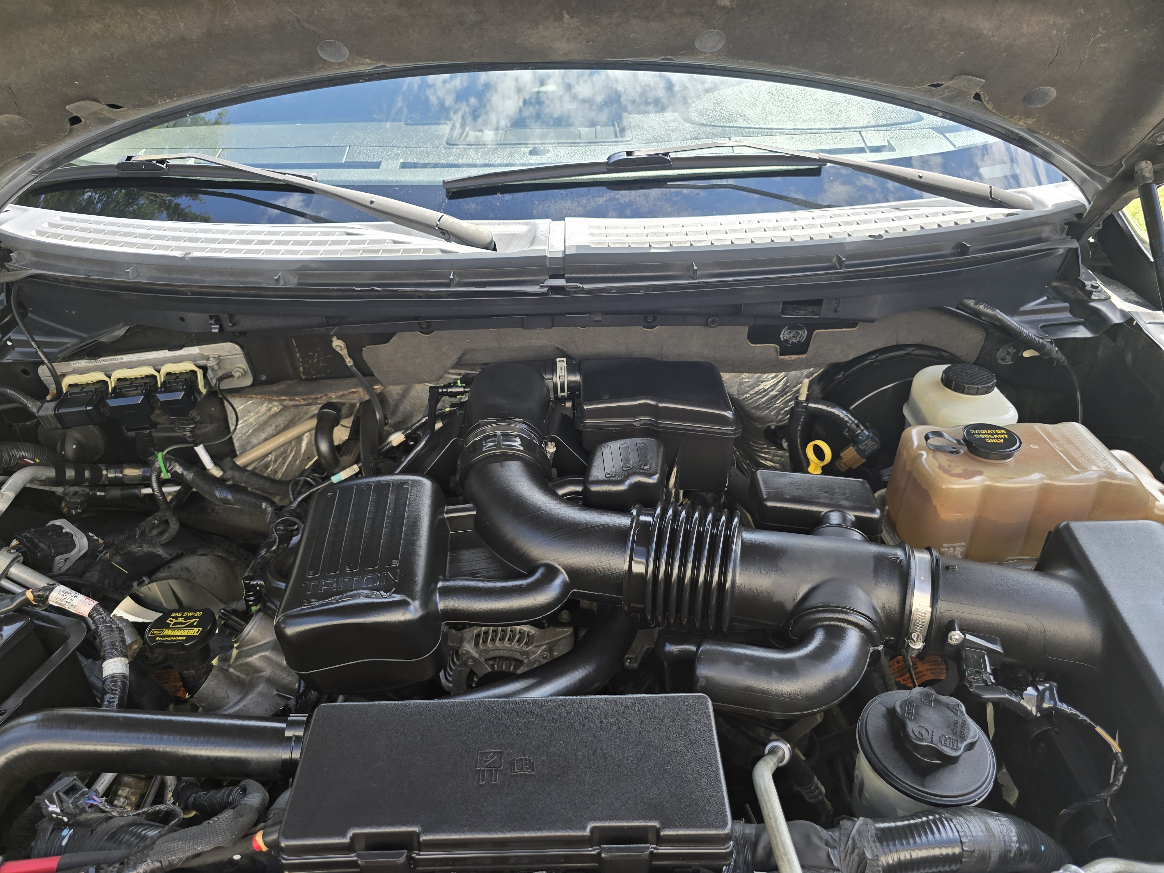 Used 2010 Ford F150 Harley-Davidson RWD image 10