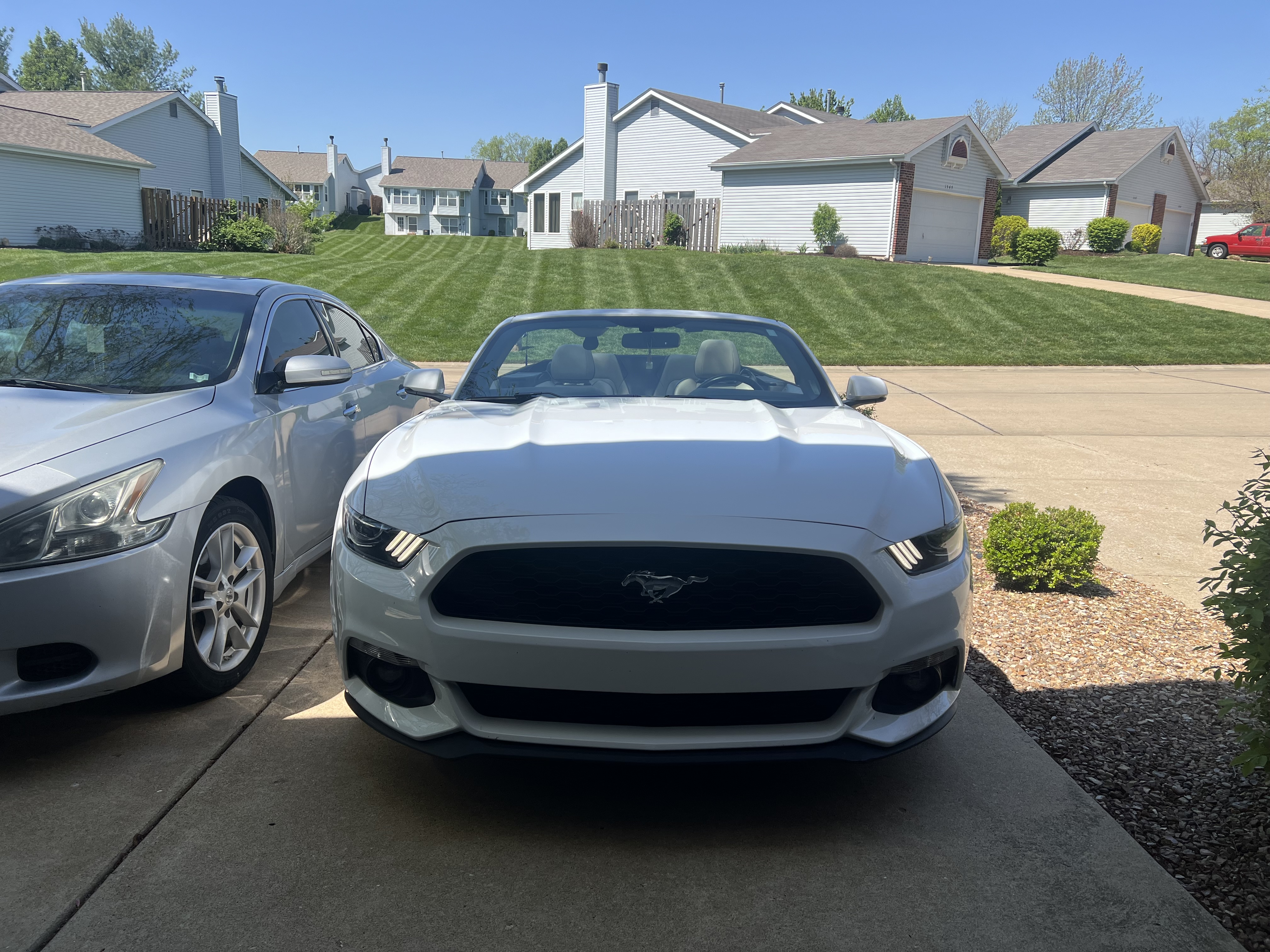 Used 2016 Ford Mustang Premium RWD image 1