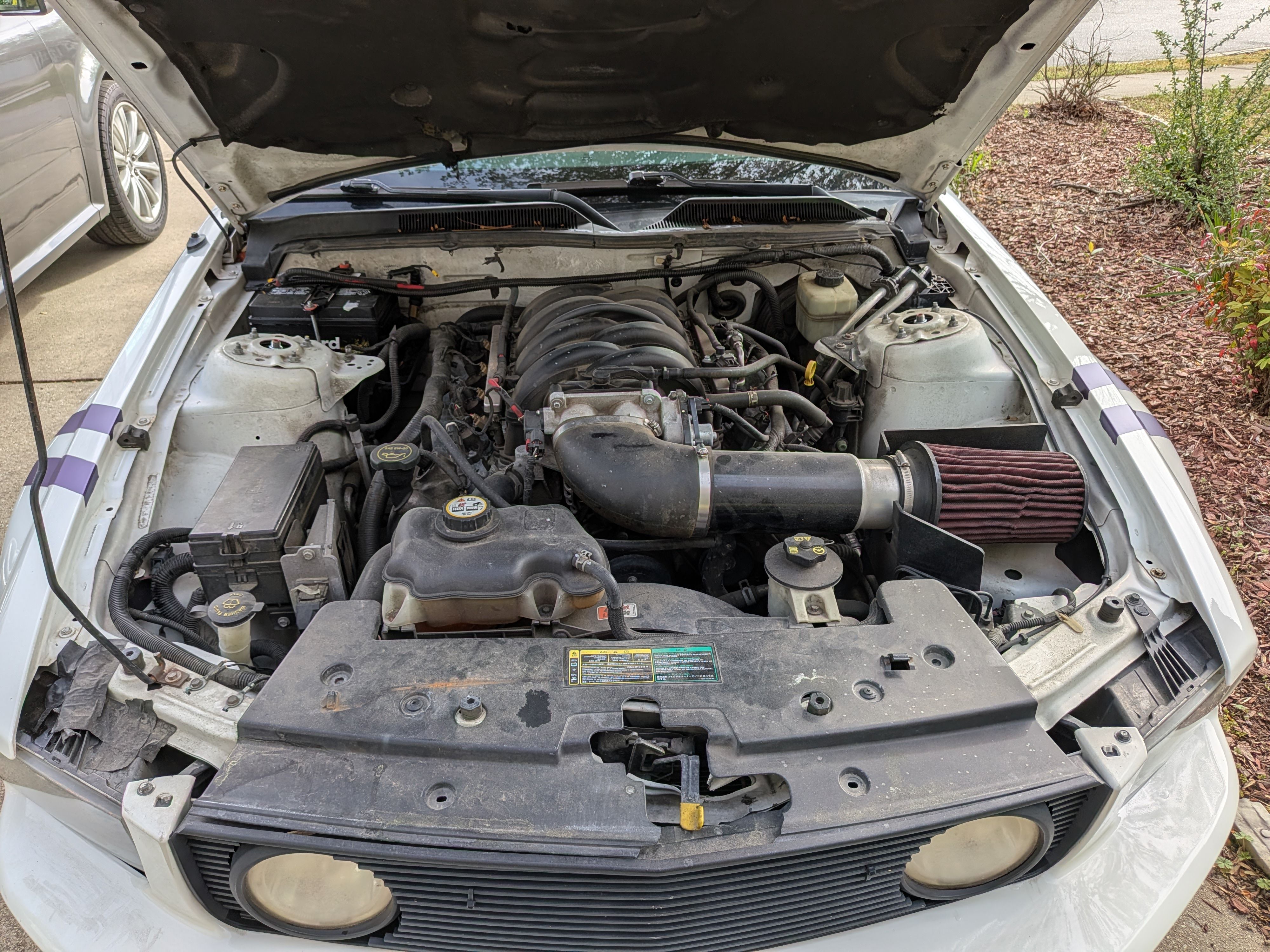 Used 2005 Ford Mustang GT Premium RWD image 14