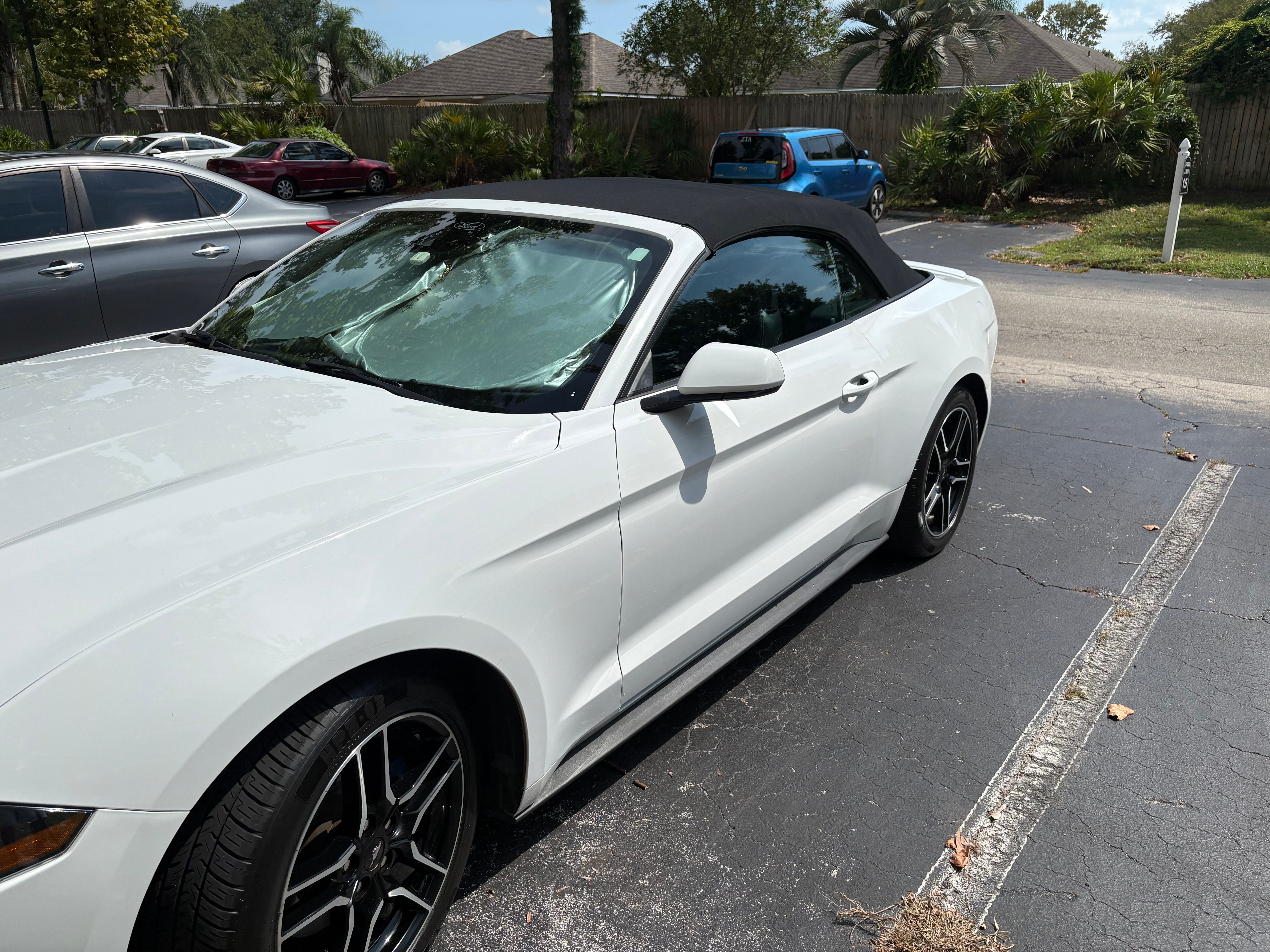 Used 2023 Ford Mustang Premium RWD image 1