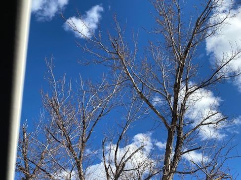 Used 2018 Ford EcoSport Titanium image 12