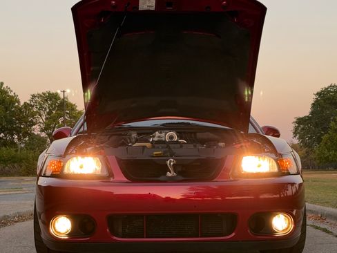 Used 2003 Ford Mustang Cobra image 11