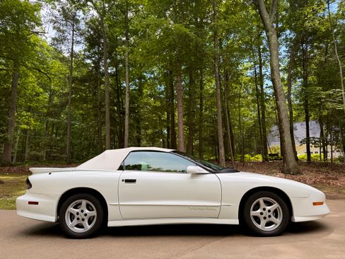 Used 1995 Pontiac Firebird Trans Am RWD image 6