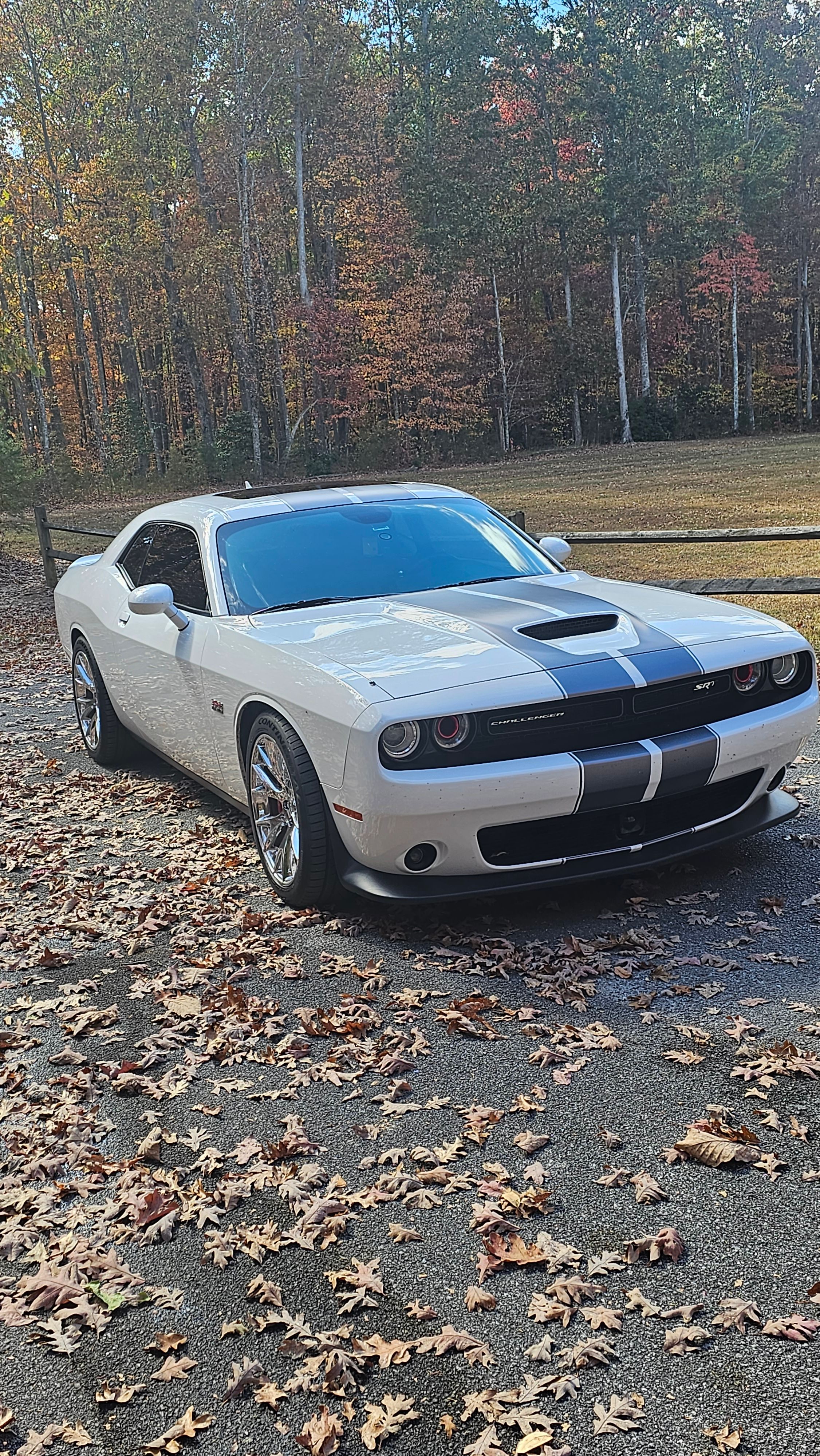 Used 2016 Dodge Challenger SRT w/ Technology Group RWD image 5