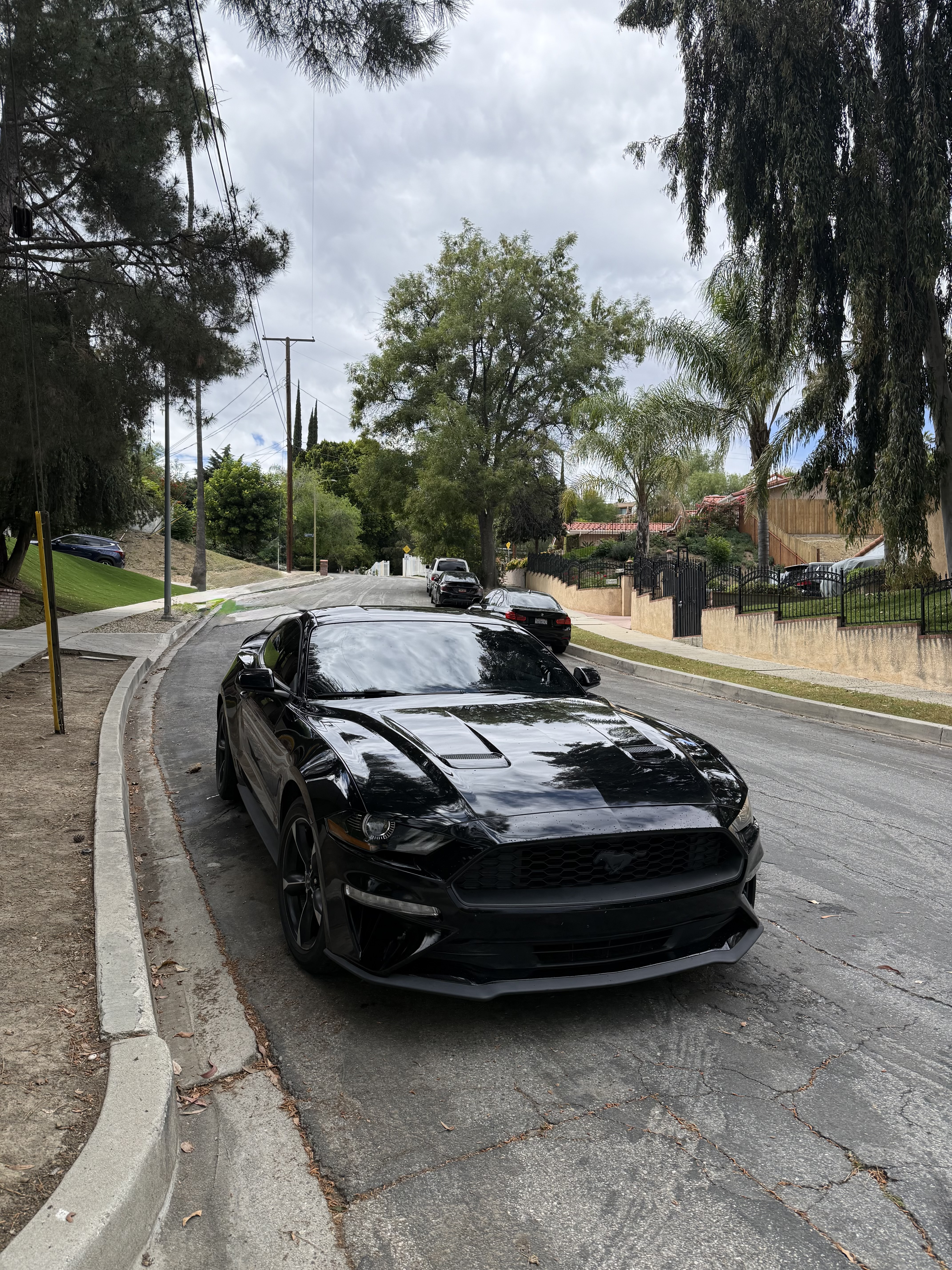Used 2019 Ford Mustang Coupe RWD image 1