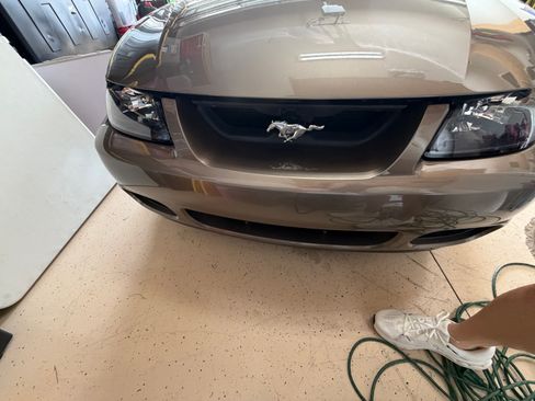 Used 2003 Ford Mustang Cobra image 5