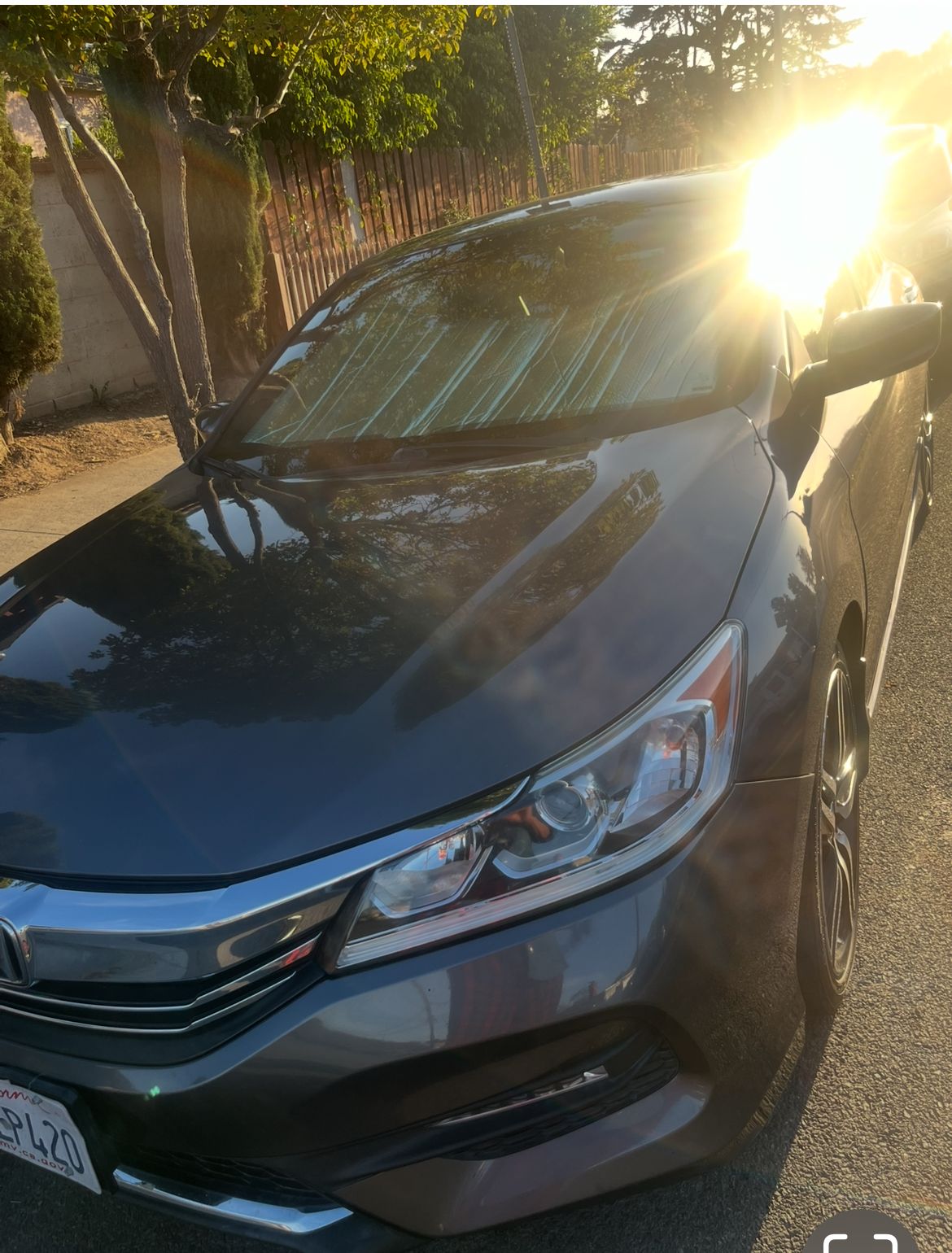 Used 2017 Honda Accord Sport image 4