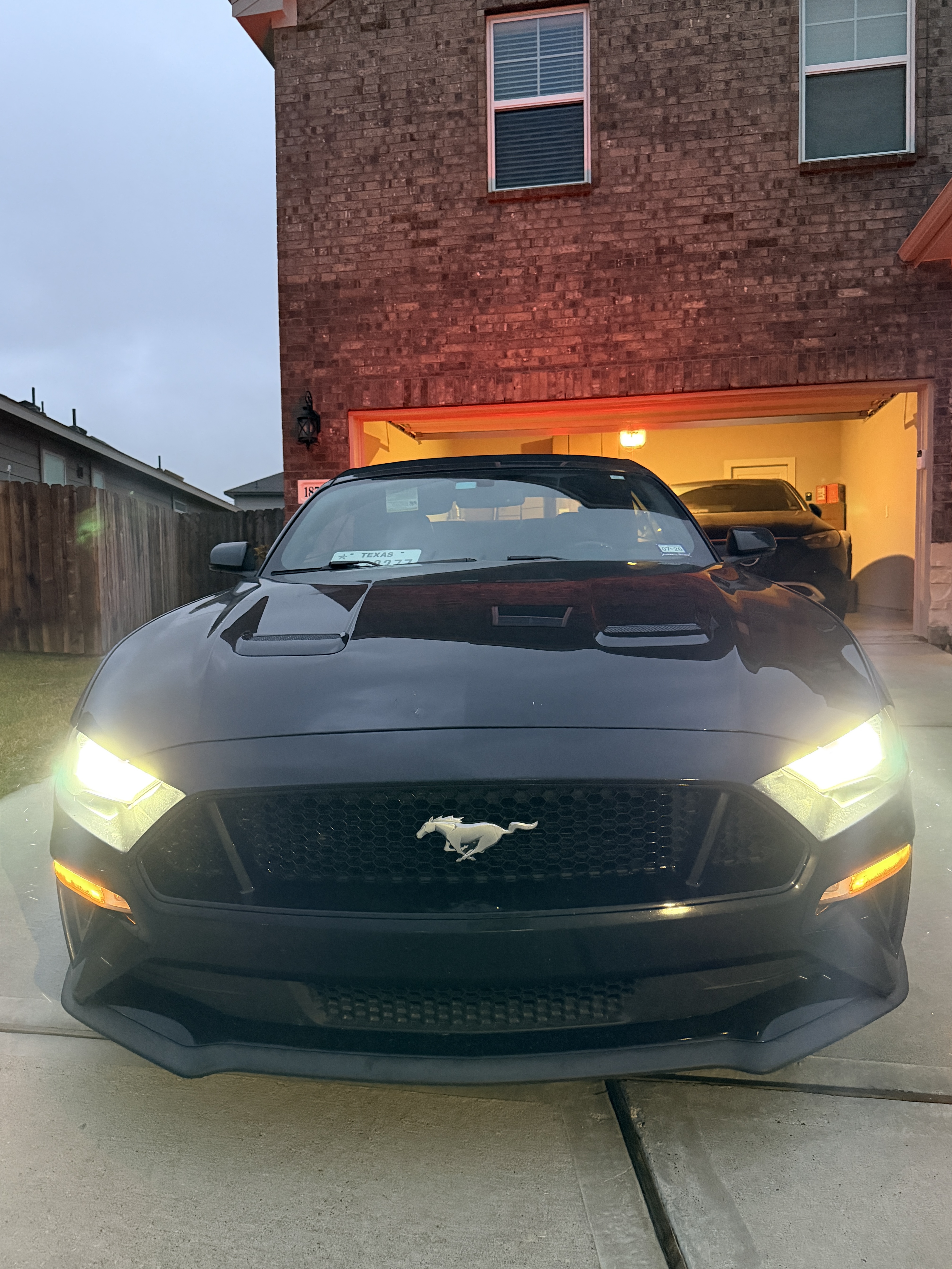 Used 2019 Ford Mustang GT Premium RWD image 14