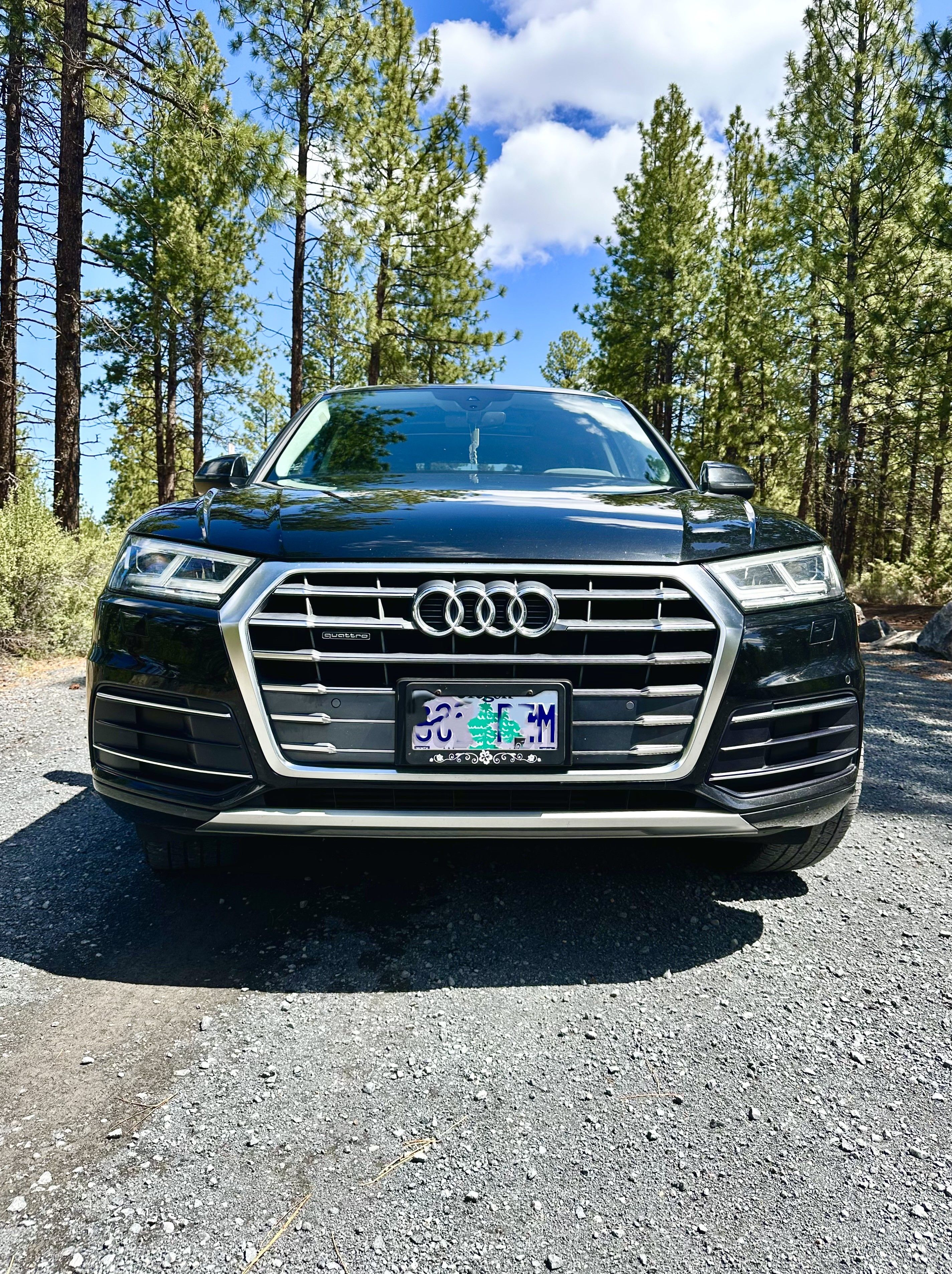 Used 2019 Audi Q5 2.0T Premium Plus w/ Premium Plus Package AWD/4WD image 15