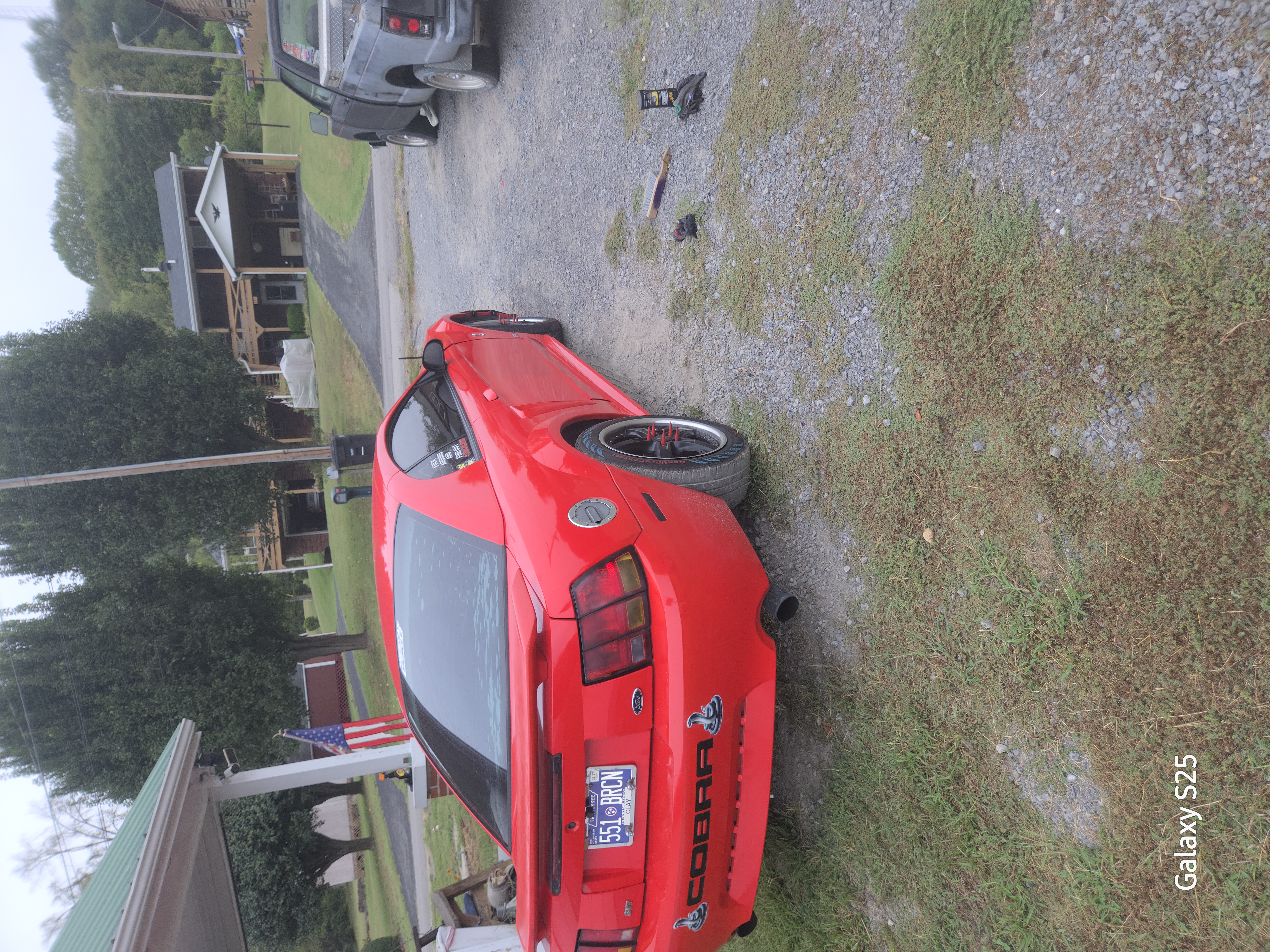 Used 2001 Ford Mustang Cobra RWD image 10