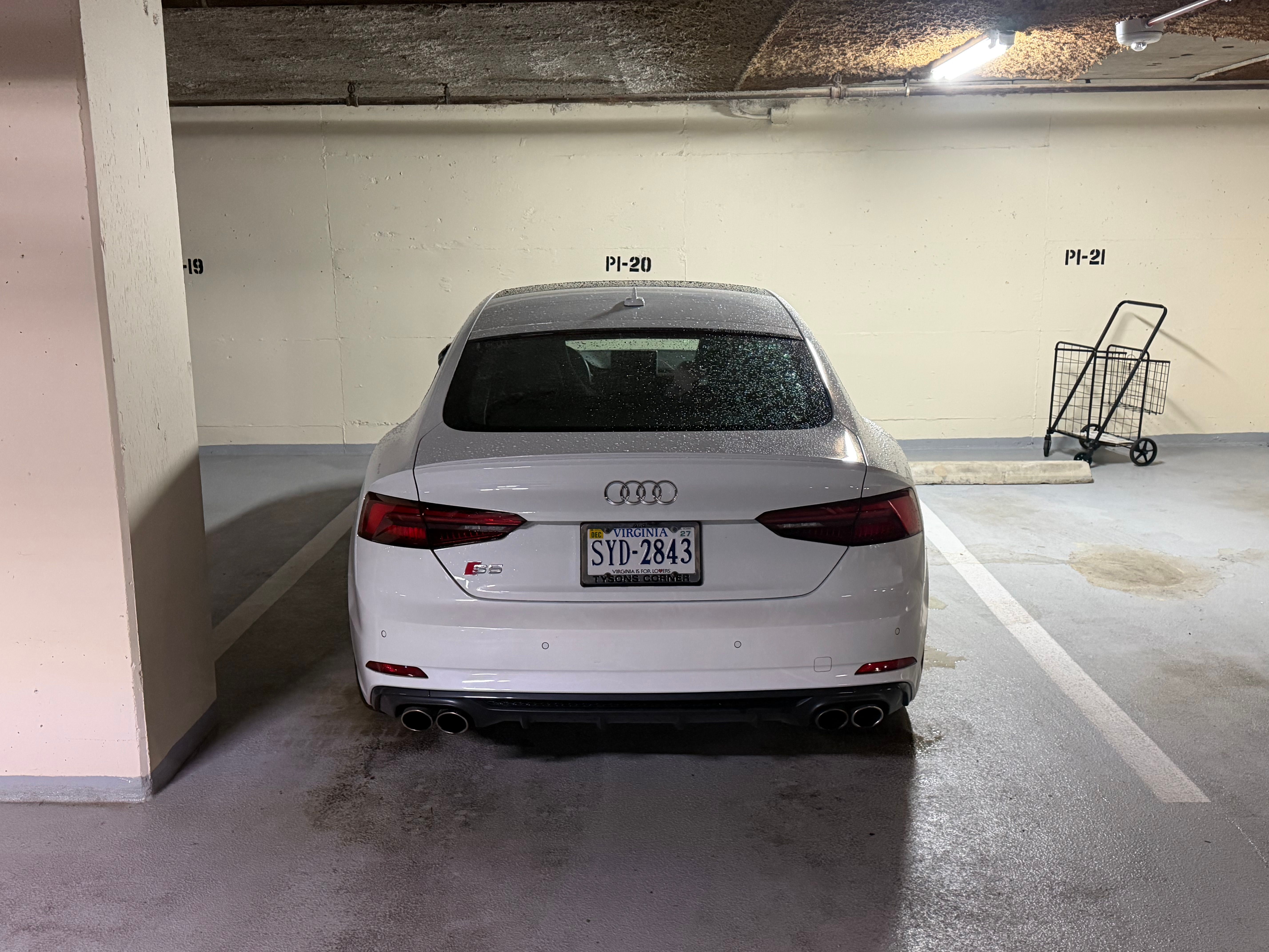 Used 2019 Audi S5 Prestige AWD/4WD image 2