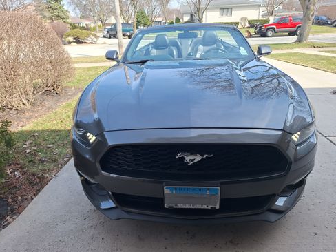 Used 2017 Ford Mustang Premium image 11
