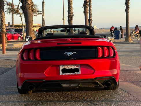 Used 2018 Ford Mustang Premium w/ Equipment Group 201A RWD image 4