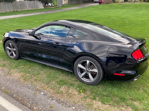 Used 2015 Ford Mustang Coupe w/ Equipment Group 051A image 2