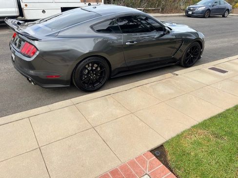 Used 2019 Ford Mustang Shelby GT350 w/ Technology Package image 8